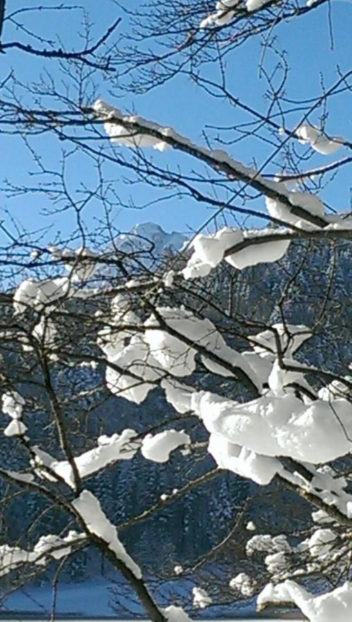 Fw Weissensee 44 Фюссен Экстерьер фото