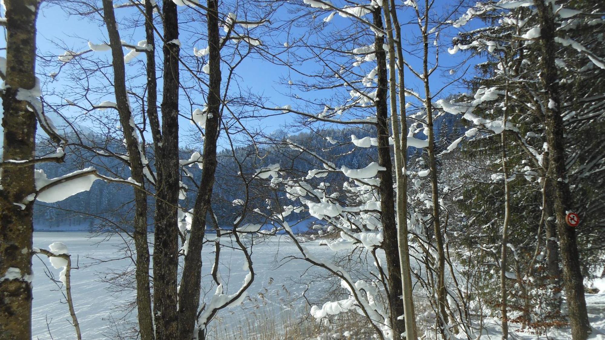Fw Weissensee 44 Фюссен Экстерьер фото